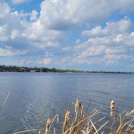 Участок 8 соток   № 103

+7(927)716-26-46